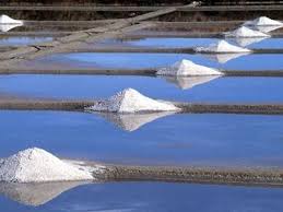 Salt og Surt – Saveurs de France